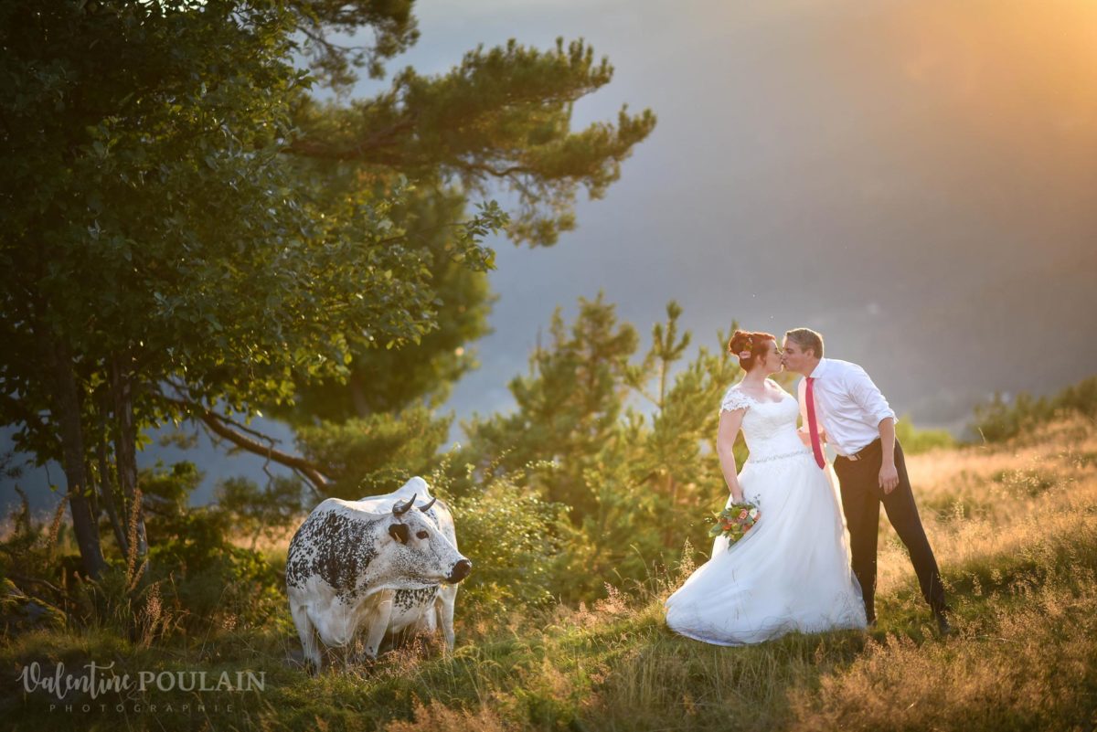 Day after montagne coucher soleil - Valentine Poulain vache