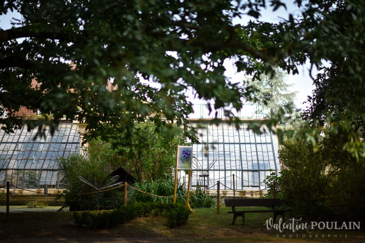 Mariage musée papier peint - Valentine Poulain une serre