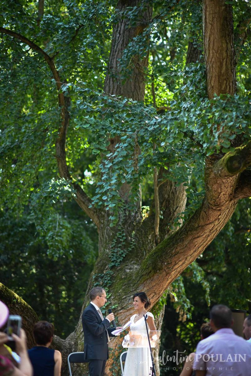 Mariage musée papier peint - Valentine Poulain colombe cérémonie arbre