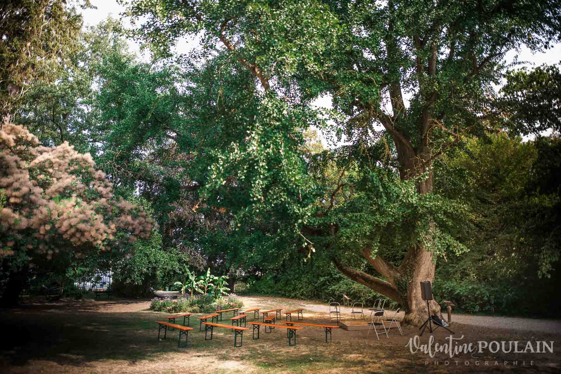 Mariage musée papier peint - Valentine Poulain colombe cérémonie laïque