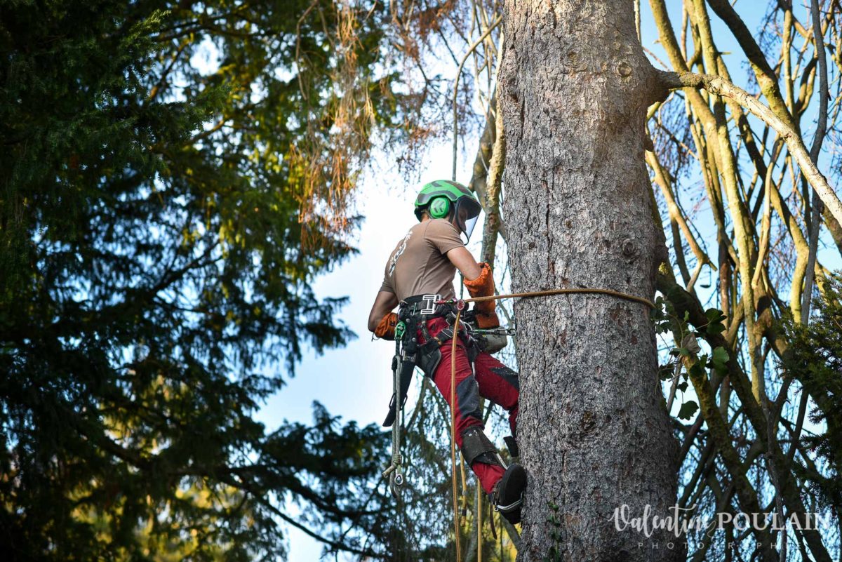 Portrait élagueur paysagiste - Valentine Poulain 11