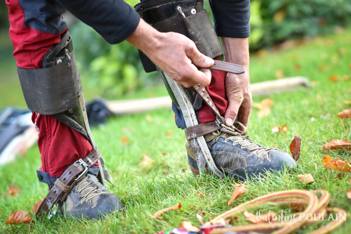 Portrait élagueur paysagiste - Valentine Poulain 18