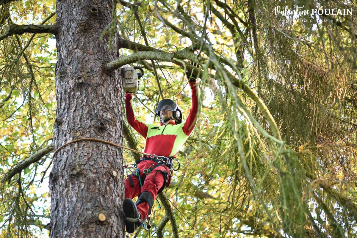 Portrait élagueur paysagiste - Valentine Poulain 19