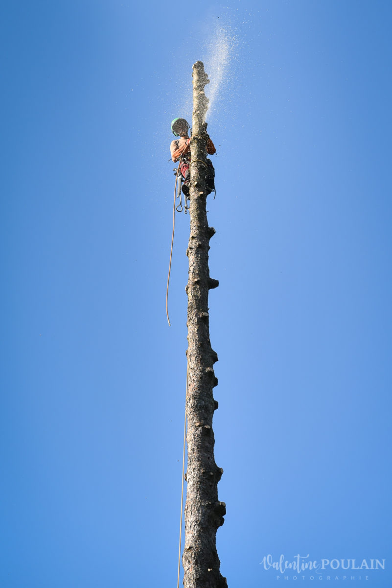 Portrait élagueur paysagiste - Valentine Poulain 42