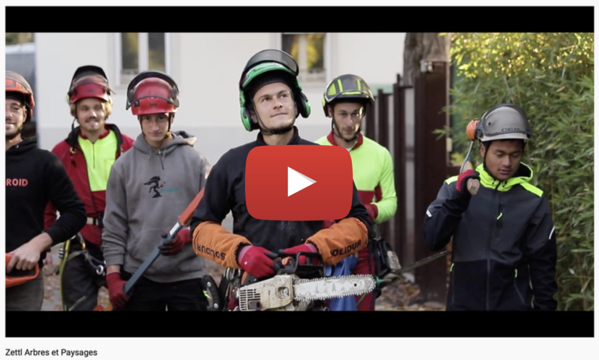 Video portrait metier elagueur - Valentine Poulain