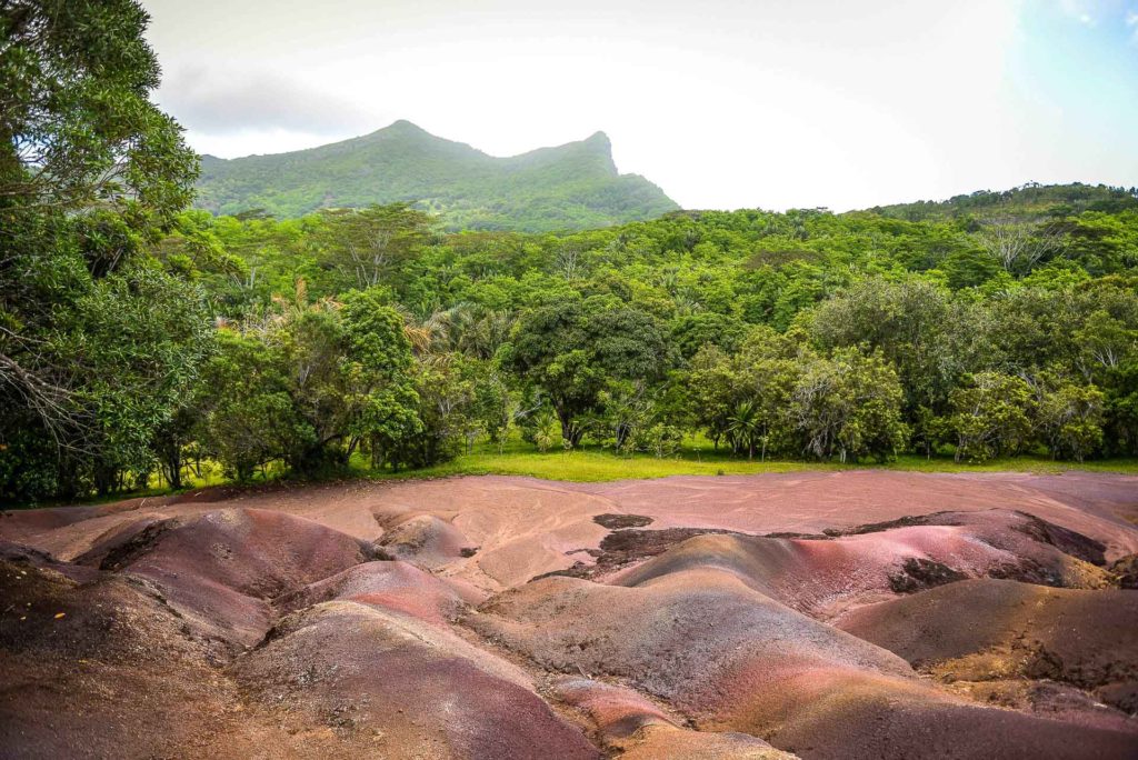Villa Ile Maurice - Valentine Poulain Chamarel