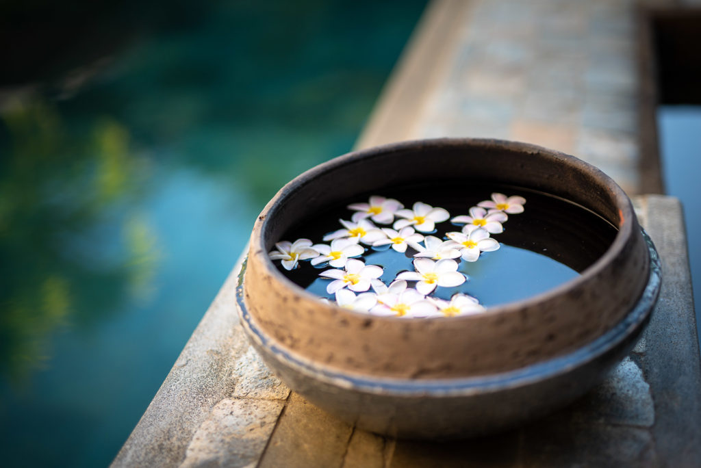 Villa Ile Maurice - Valentine Poulain fleurs