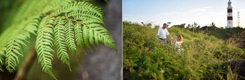 day after Ile Maurice fougères
