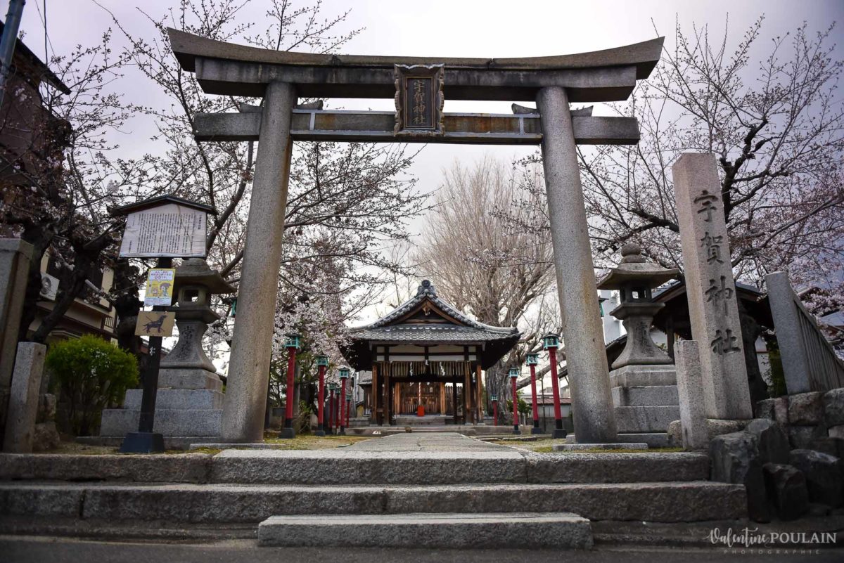 JAPON Tokyo Kyoto - Valentine Poulain temple