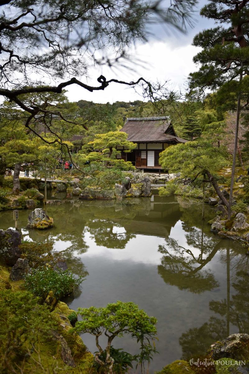 JAPON Tokyo Kyoto - Valentine Poulain nature