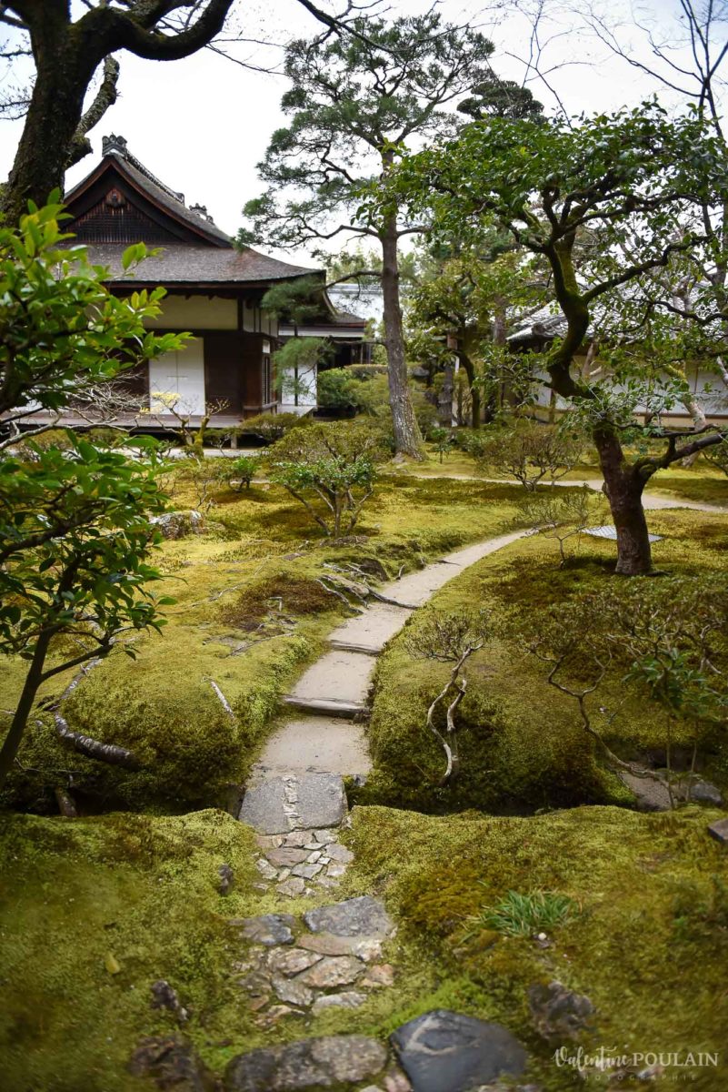 JAPON Tokyo Kyoto - Valentine Poulain chemin