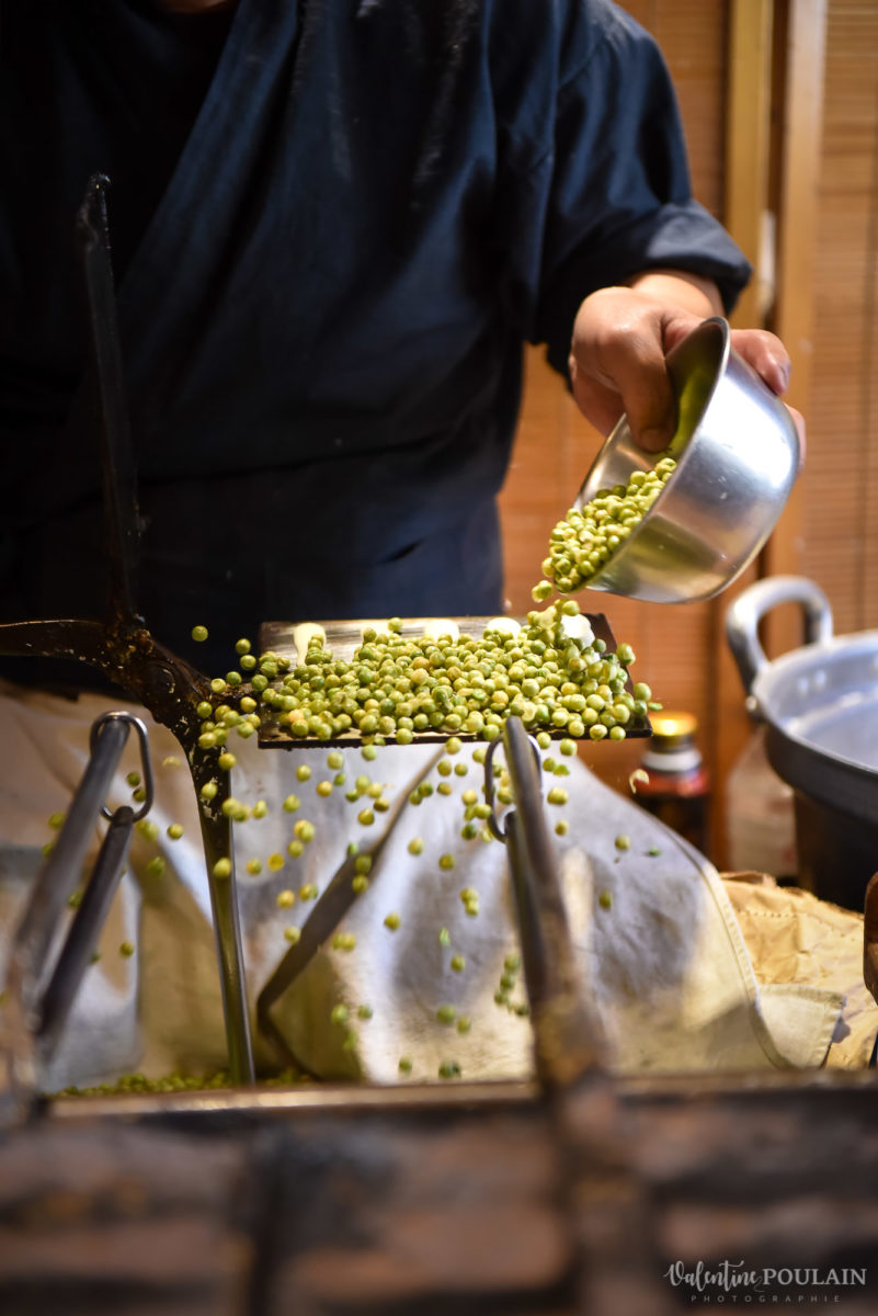 JAPON Tokyo Kyoto - Valentine Poulain pois