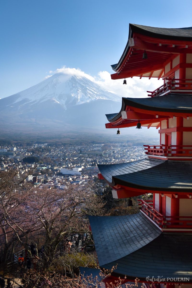 JAPON Tokyo Kyoto - Valentine Poulain pagoda Mont-Fuji