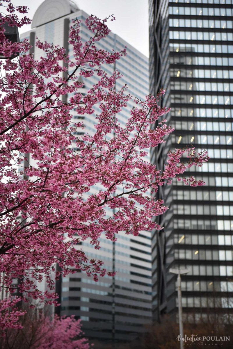 JAPON Tokyo Kyoto - Valentine Poulain buildinga