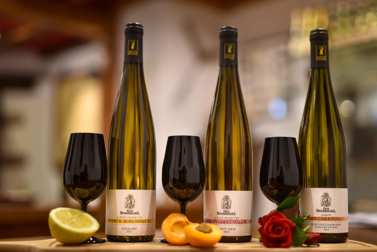 bouteille Photo corporate Domaine vigneron - Valentine Poulain