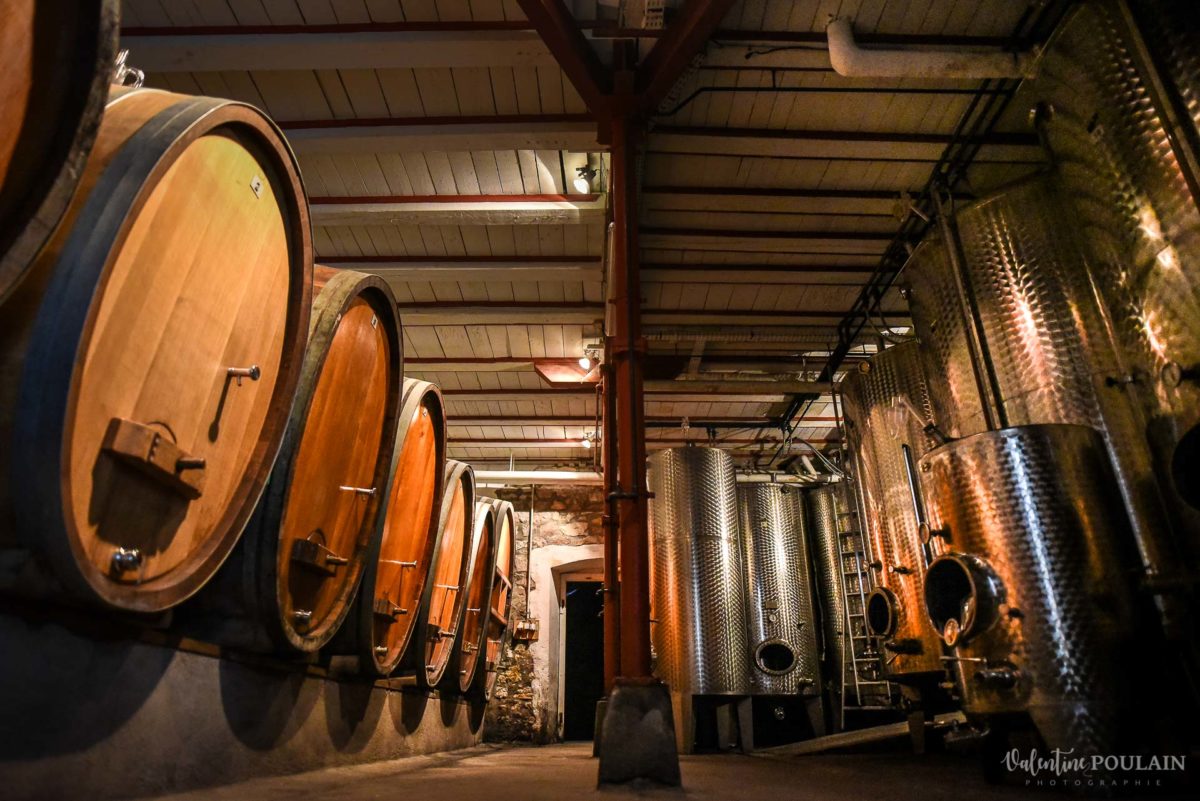 cave visite corporate Domaine vigneron - Valentine Poulain