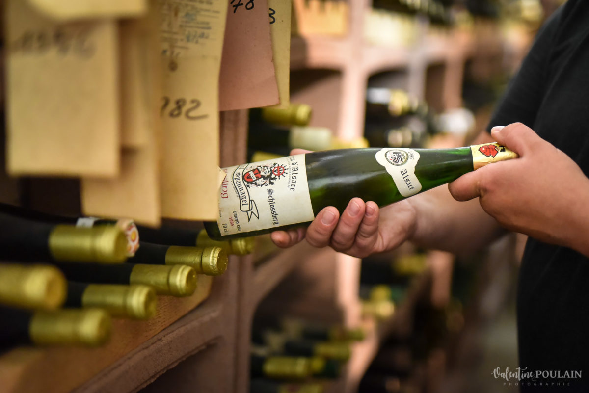 choix corporate Domaine vigneron - Valentine Poulain