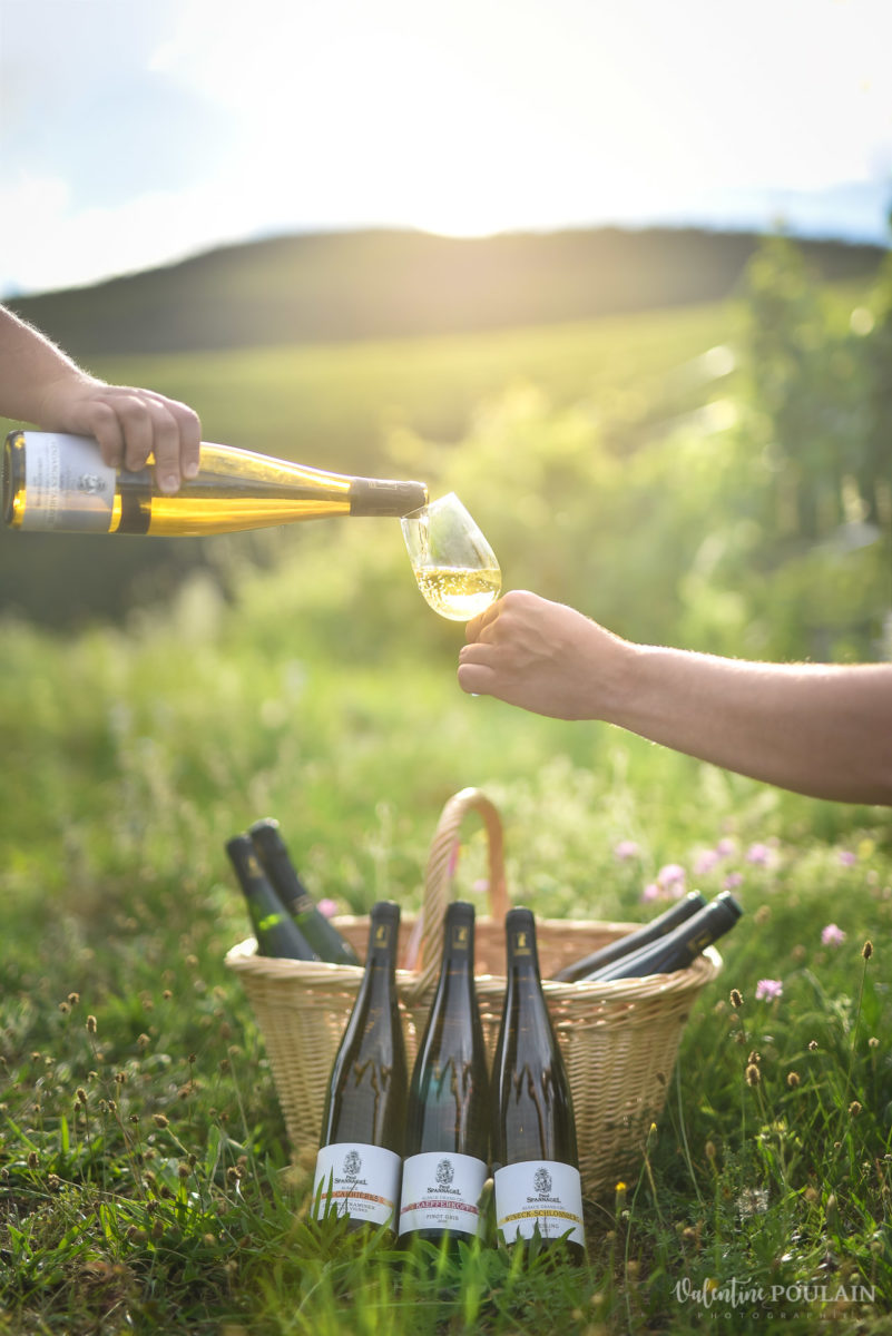 pique-nique panier photo corporate Domaine vigneron - Valentine Poulain