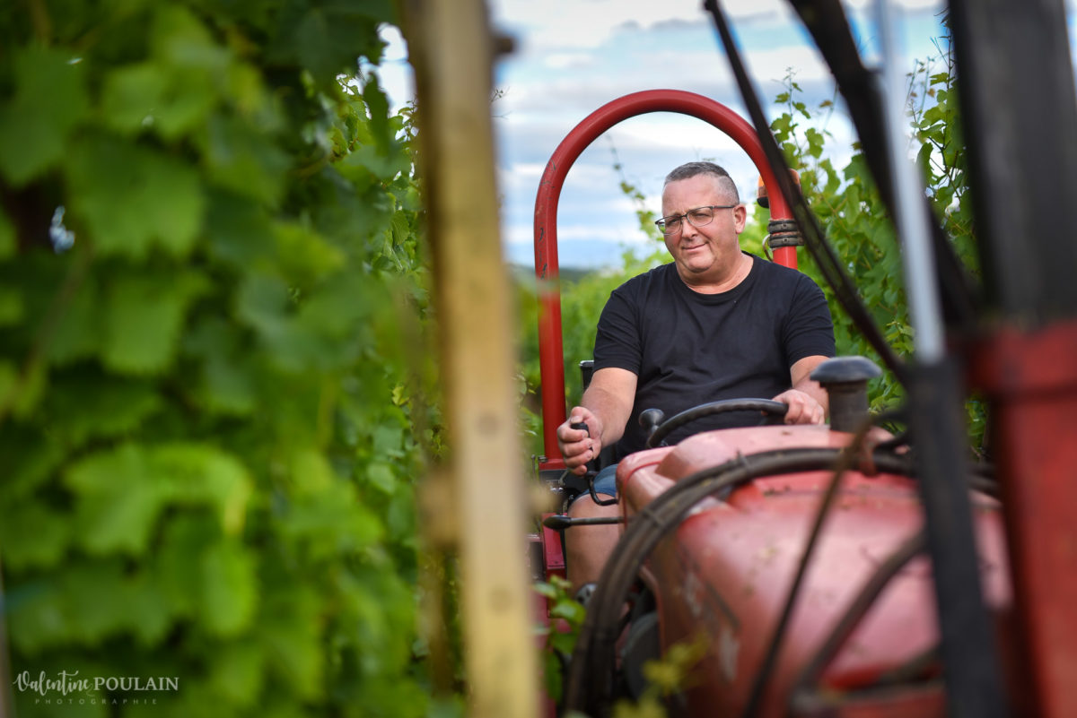 tracteur vigneron - Valentine Poulain