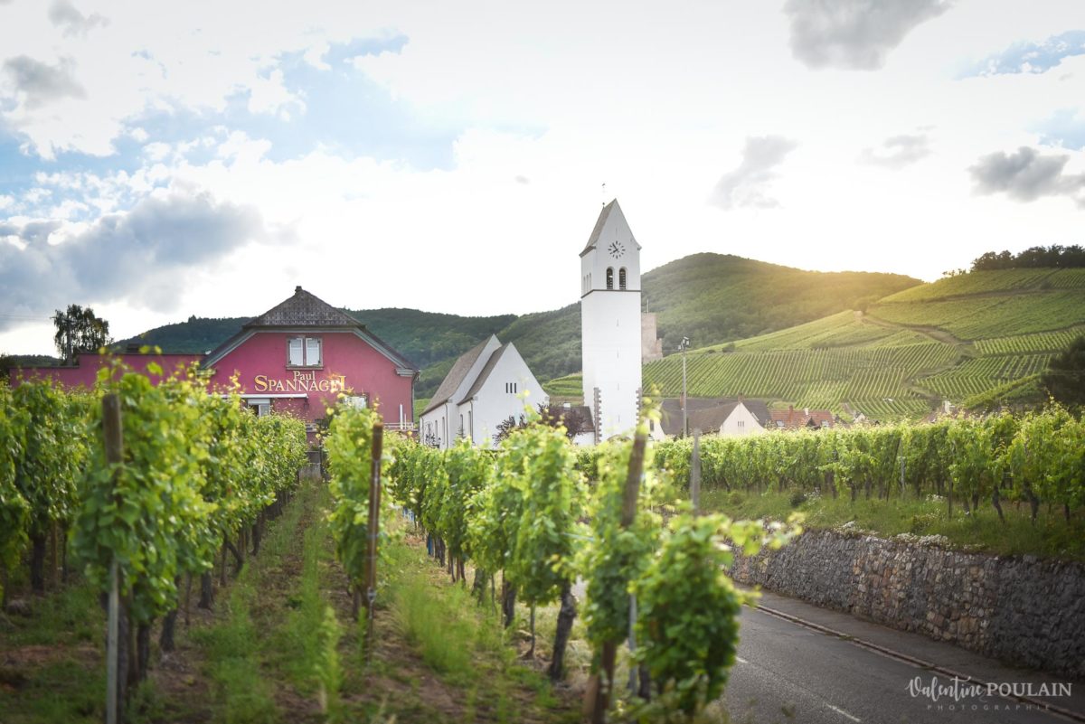 vue photo corporate Domaine vigneron - Valentine Poulain