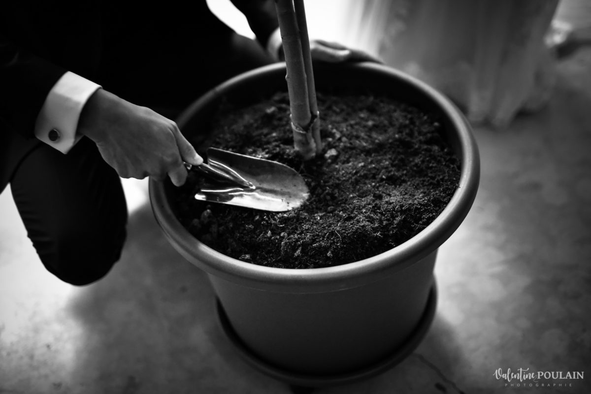 Mariage rock automne Domaine du Hirtz - Valentine Poulain cérémonie laïque rituel planter
